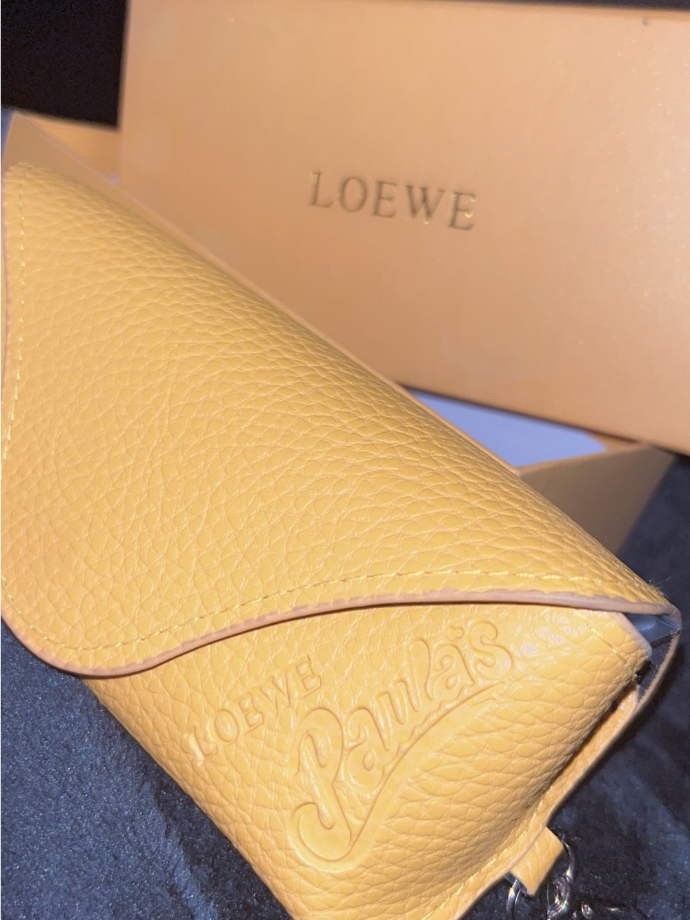 LOEWE Paulas Ibiza Women's Sunglasses